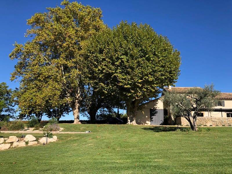 Saint-Pantaléon-les-Vignes & Grignan - 1 of 1
